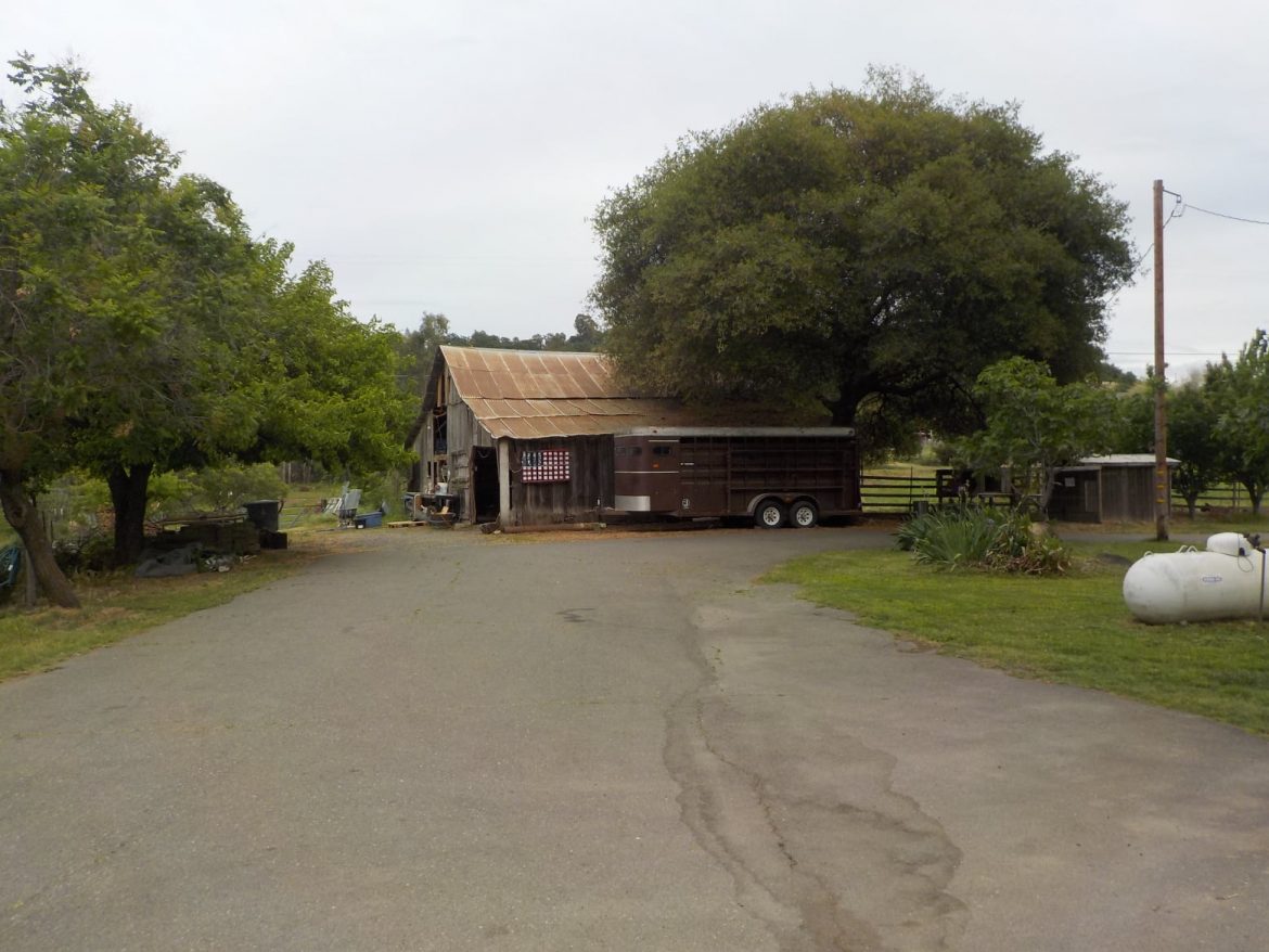 The Lady in Pink & The Lost Girl of Loomis