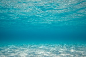 underwater near death experience