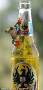 Nicholas Reusens costa rica photography 1