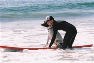dog surfing instructor