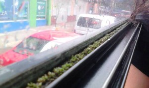 Costa Rica Carbon Friendly Bus