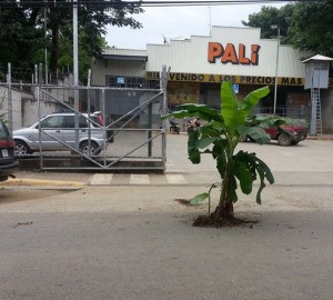 I Told You Costa Rica Was Green