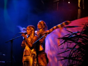 costa-rica-envision-festival