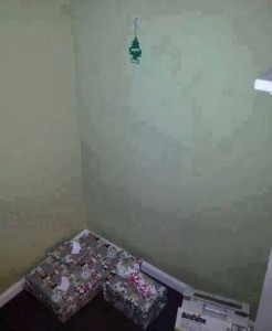 Costa Rican Christmas Tree