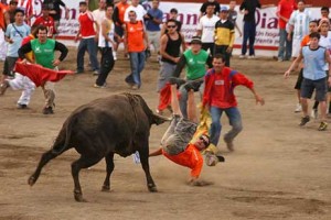 bullfights zapote costa rica
