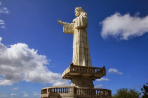 tricia lyman photography