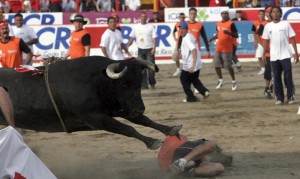 costa rica zapote bull fights