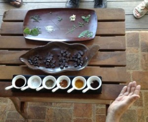 chocolate tours costa rica