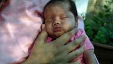 costa rica fertility