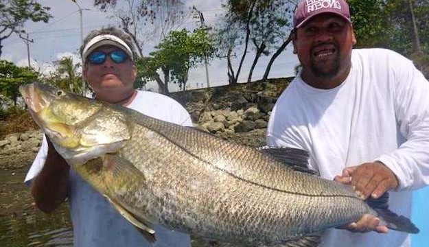 world record snook costa rica