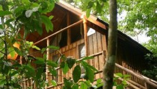 The Tree Houses Hotel costa rica 1