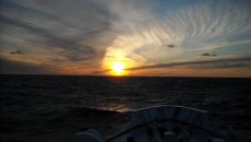 calm after the storm