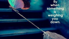 removing negativity from your life