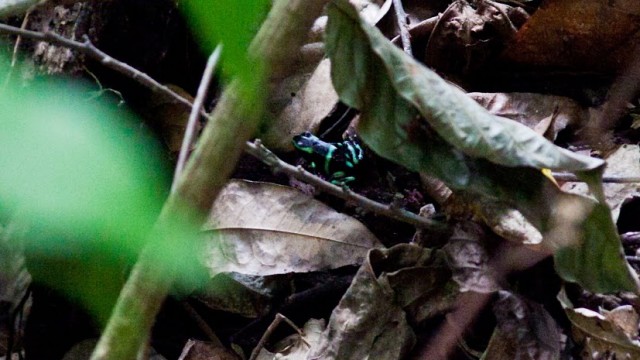 nature scott alexander 20