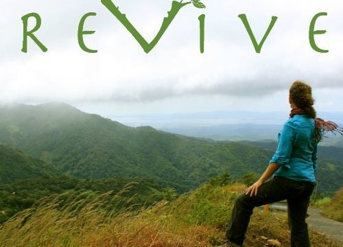 revive healing arts costa rica monteverde