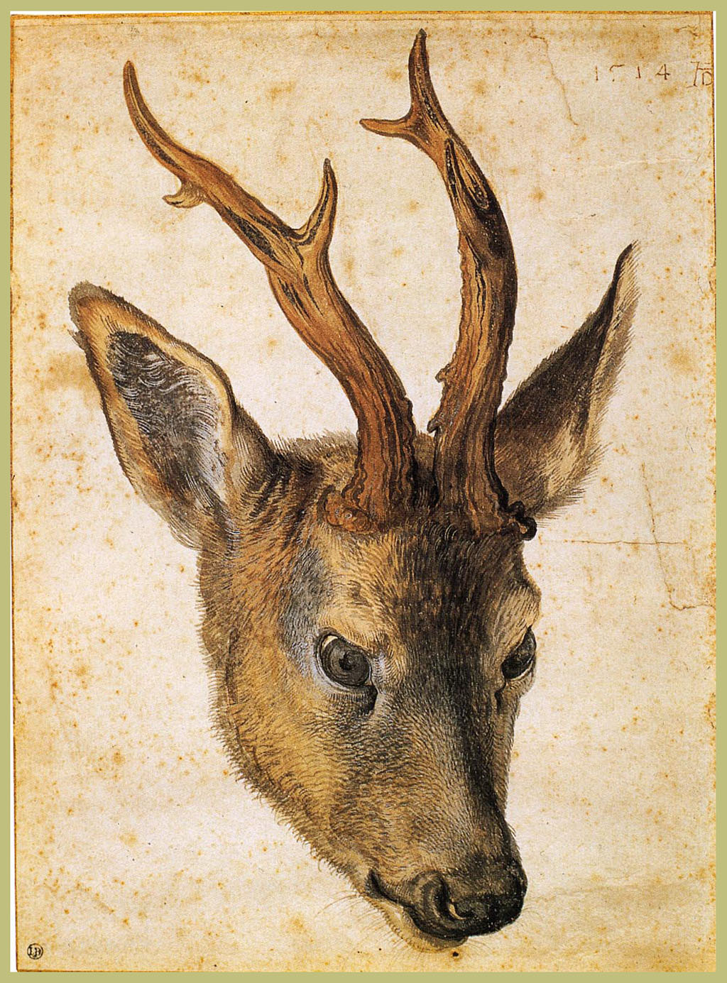 Albrecht Dürer artwork