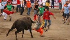 bullfighting costa rica