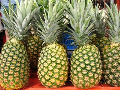 costa rica pineapples