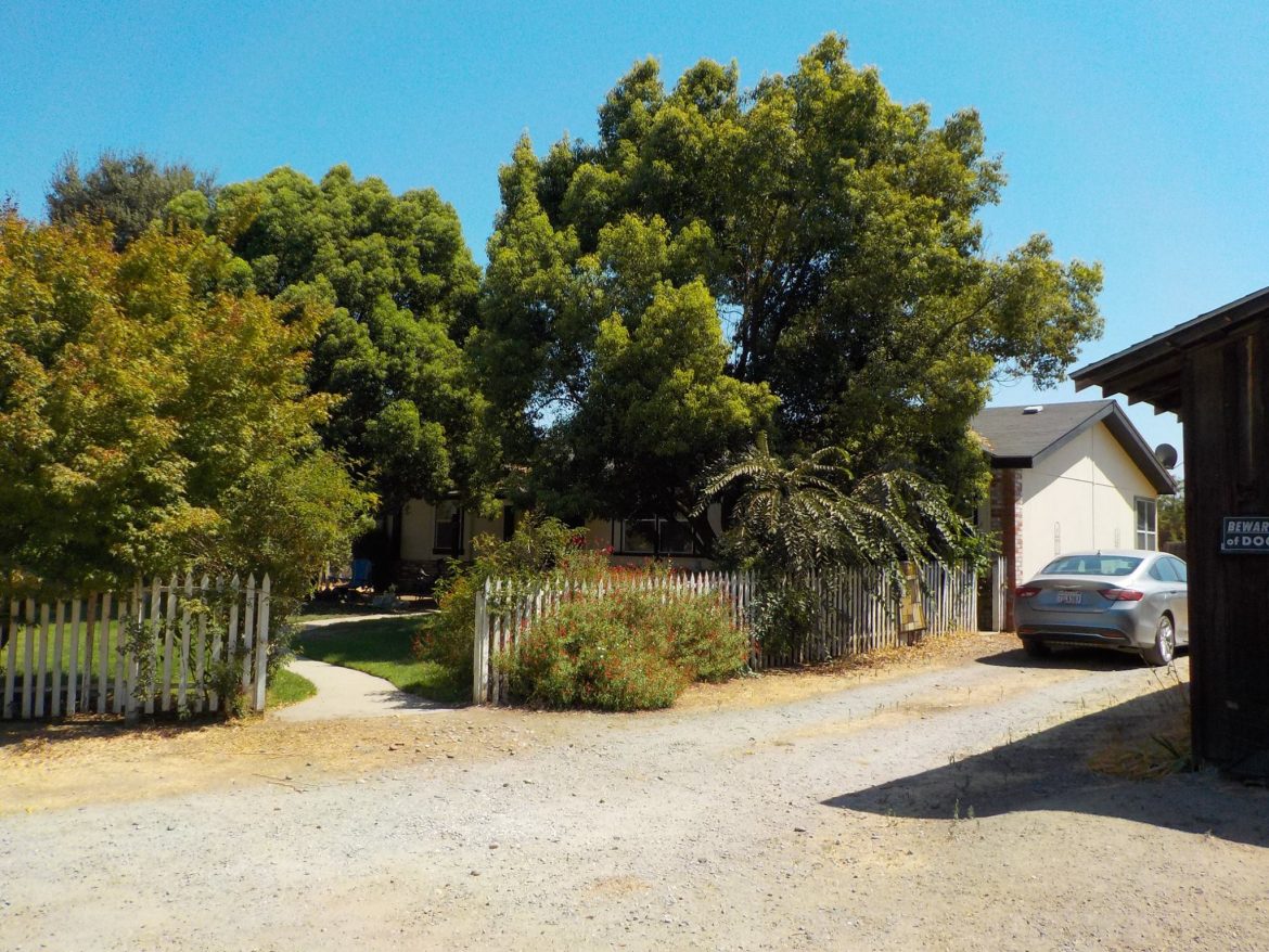 Vortex At Knights Ferry