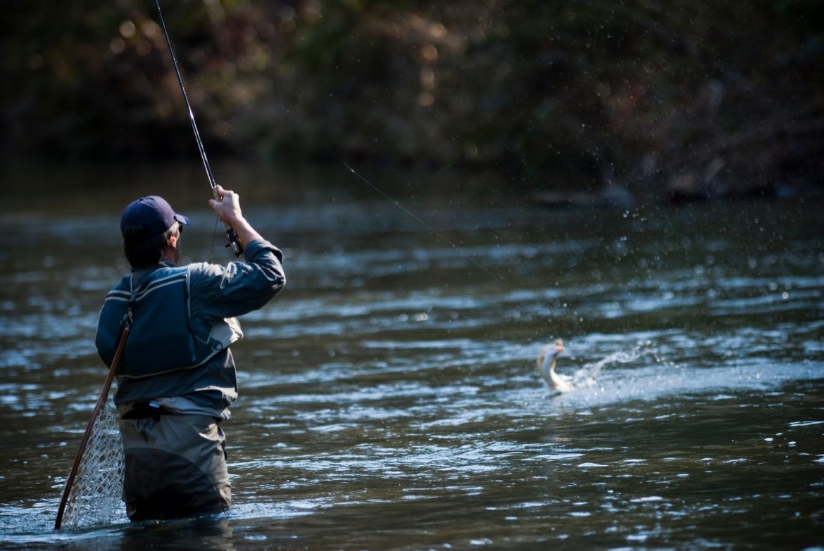 For Beginner Anglers – The Fishing Information You Need Before Your Fishing Trip