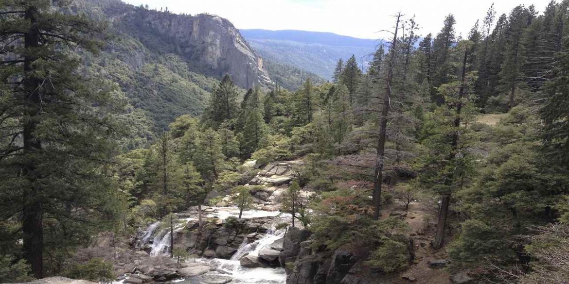 Negation, Meditation and the Work