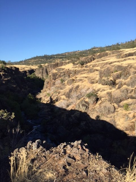 Photo by Martin Lefevre