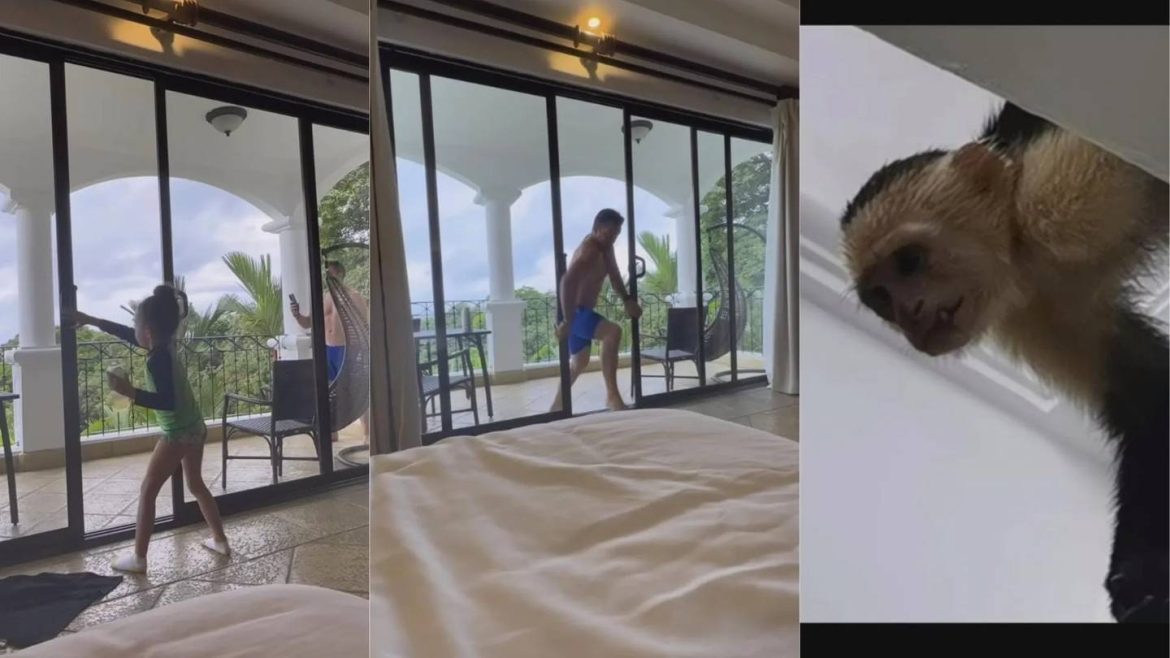 Ítalo Marenco’s Unforgettable Monkey Encounter: Instagram’s Latest Viral Moment