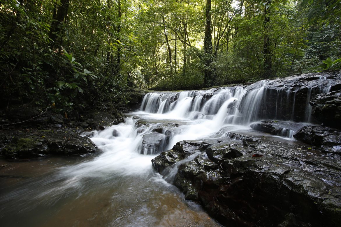 Discover the Wilderness Whispers: The Trail Treasures of La Cangreja National Park in Costa Rica