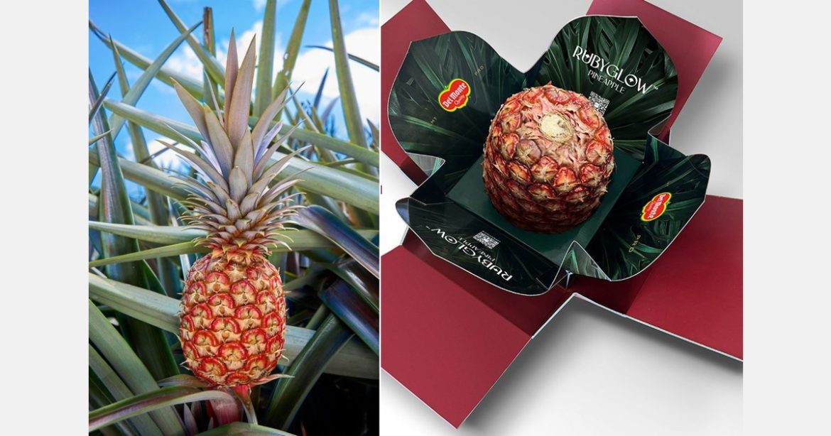 Rubyglow Revolution: Costa Rica’s Red Pineapple Makes Global Waves