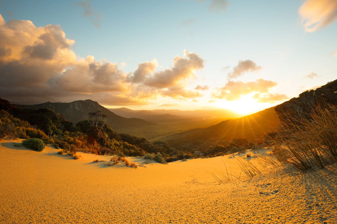 Let Beauty Supersede the Greed