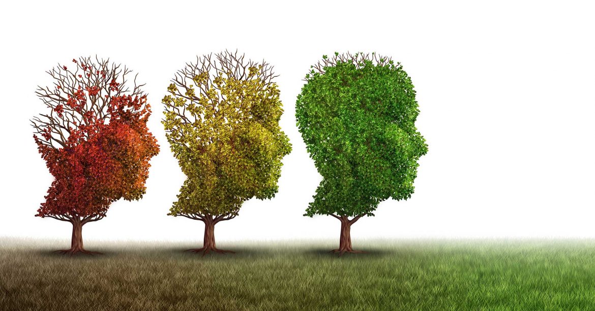 The Brain Need Not Deteriorate