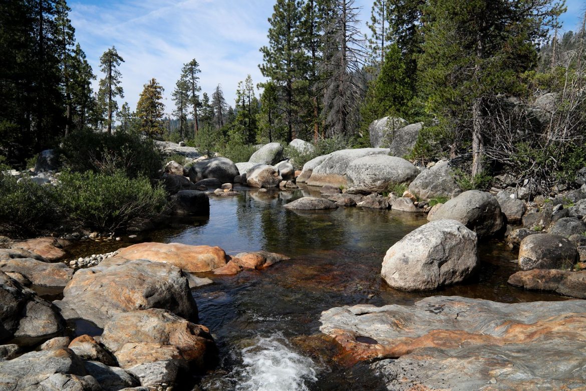 Take a Break From Politics