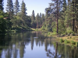california creek meditation