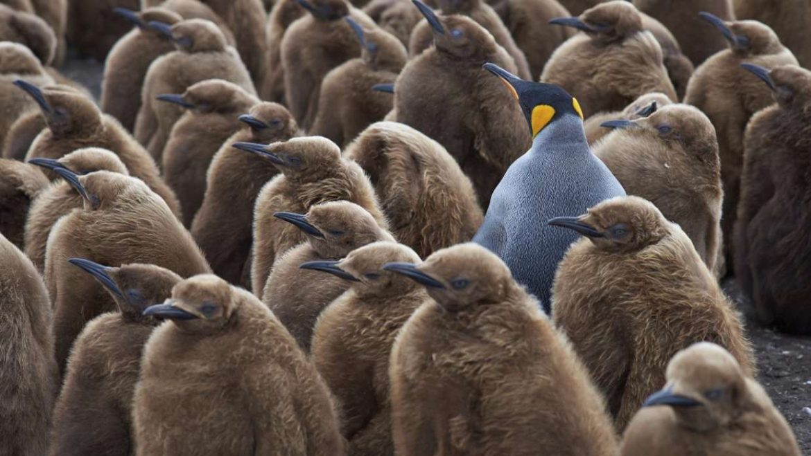 Resistance Can Be Worse Than Futile