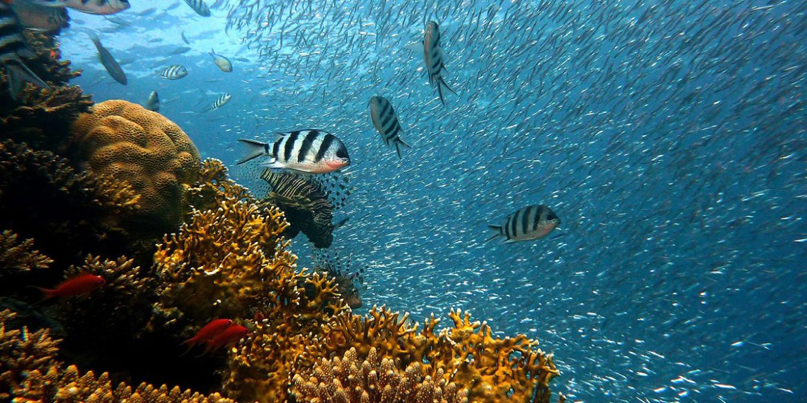 The Environmental Crossroads: Costa Rica’s Conservation Dilemma in the Wake of Presidential Remarks