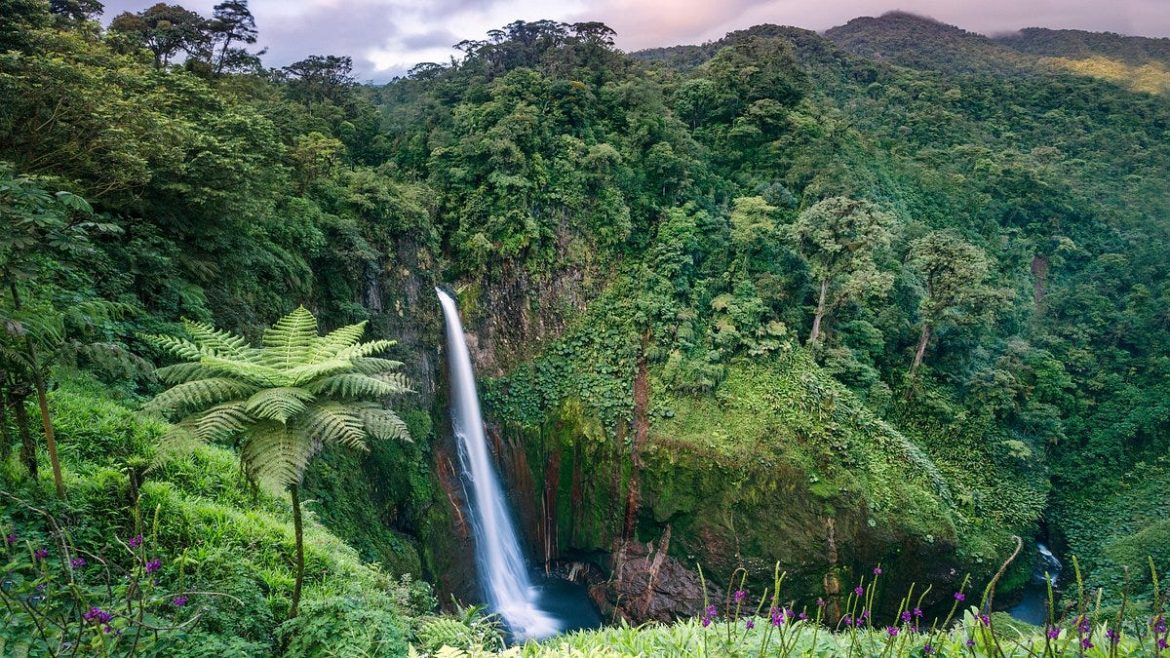 Exploring Costa Rica’s Remarkable Biodiversity: A Natural Wonderland Awaits
