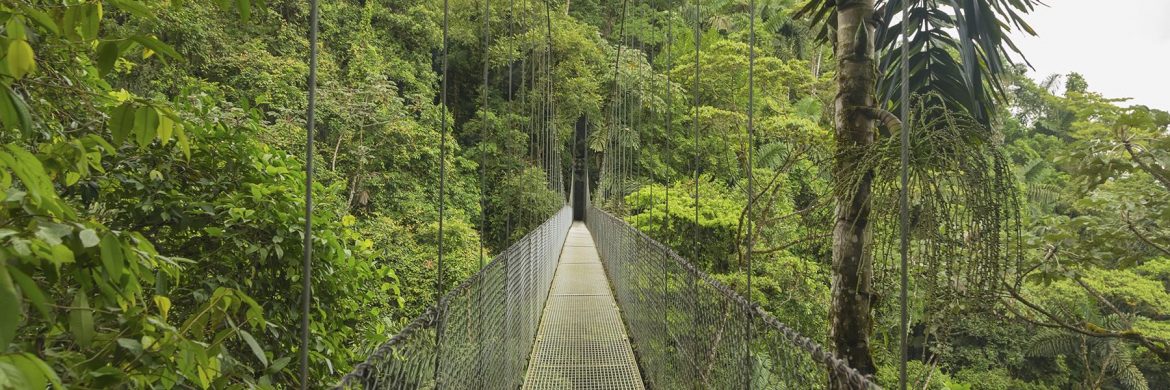 Vancouver to Costa Rica Flight for Only $410