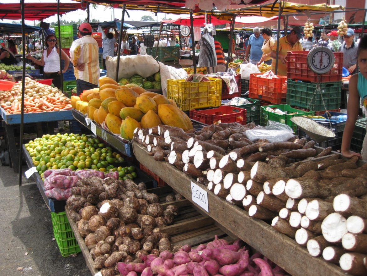 Costa Rica’s Farmers Markets: Four Decades of Cultivating Community and Commerce