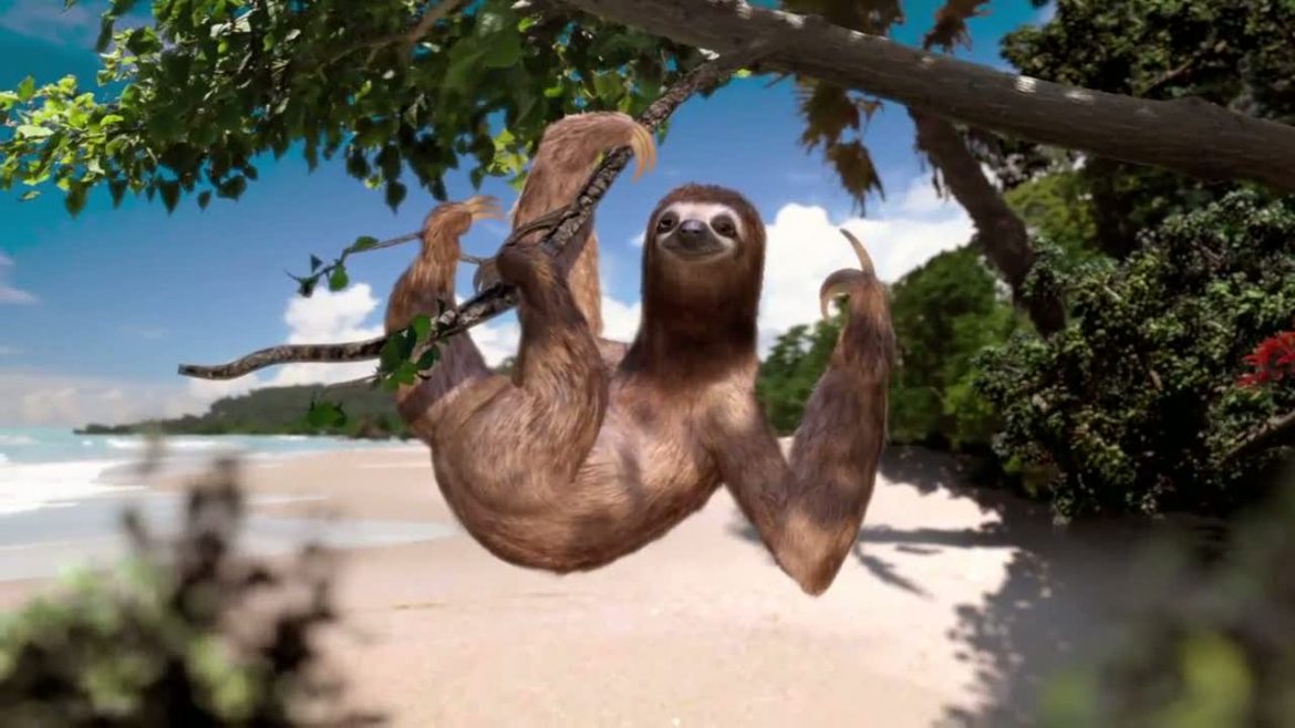 Costa Rica Tourism Up 4% For 2019