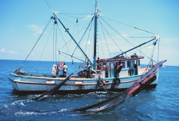 Costa Rica's Court Halts Trawling Studies Amid Environmental Concerns - The Costa Rican Times