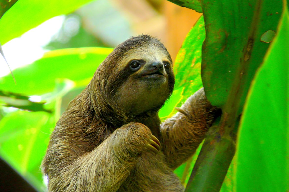 Costa Rica FAQs: Your Ultimate Guide – Like What Time is It in Costa Rica?