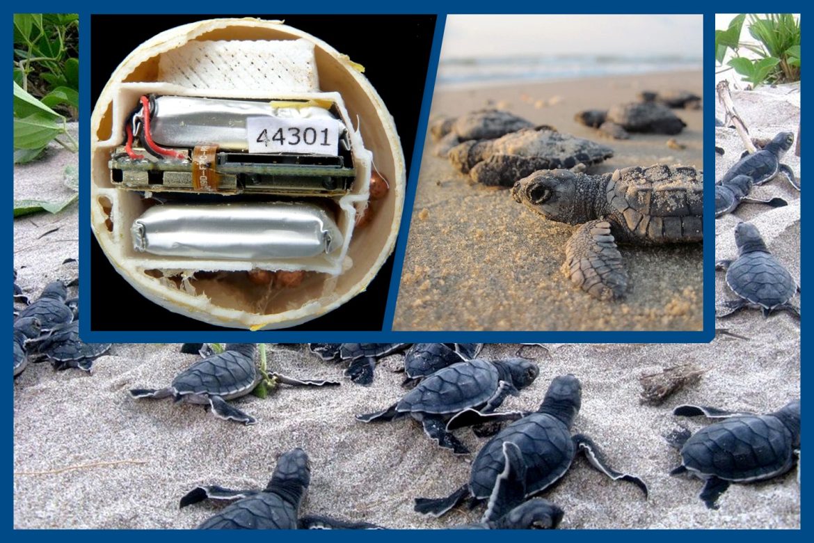 Protecting Costa Rica’s Wildlife: Advanced Training Initiatives Against Poaching and Trafficking