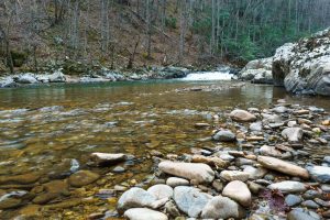 creek and stones