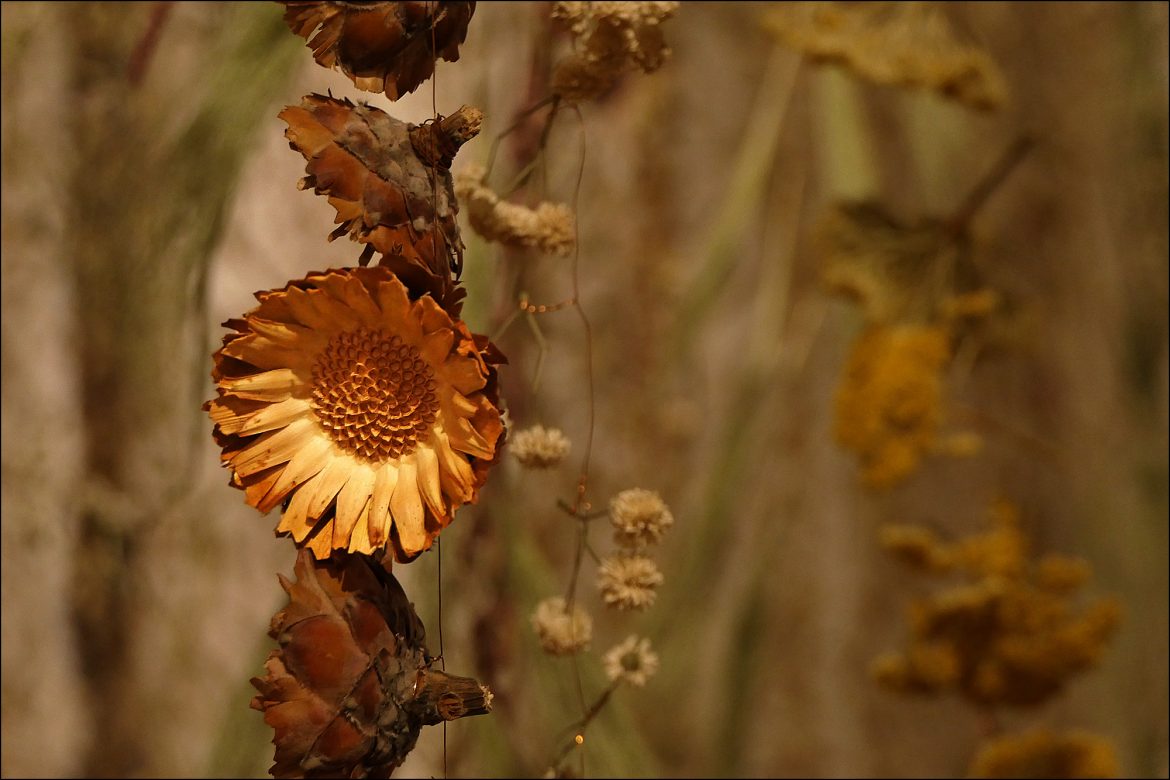 Death and a Drenching