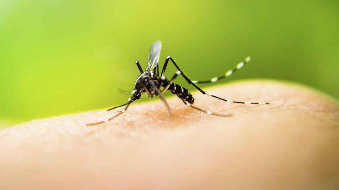 Costa Rica & Central America Dengue Epidemic