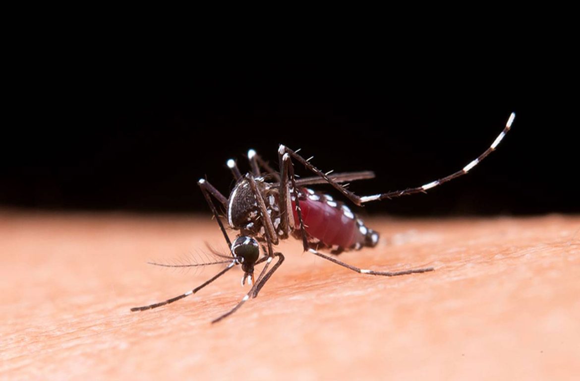 Health Alert: Costa Rica Confronts Dramatic Rise in Dengue Cases