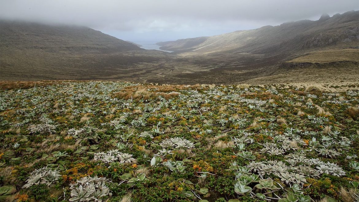 Concerning Power and Puniness