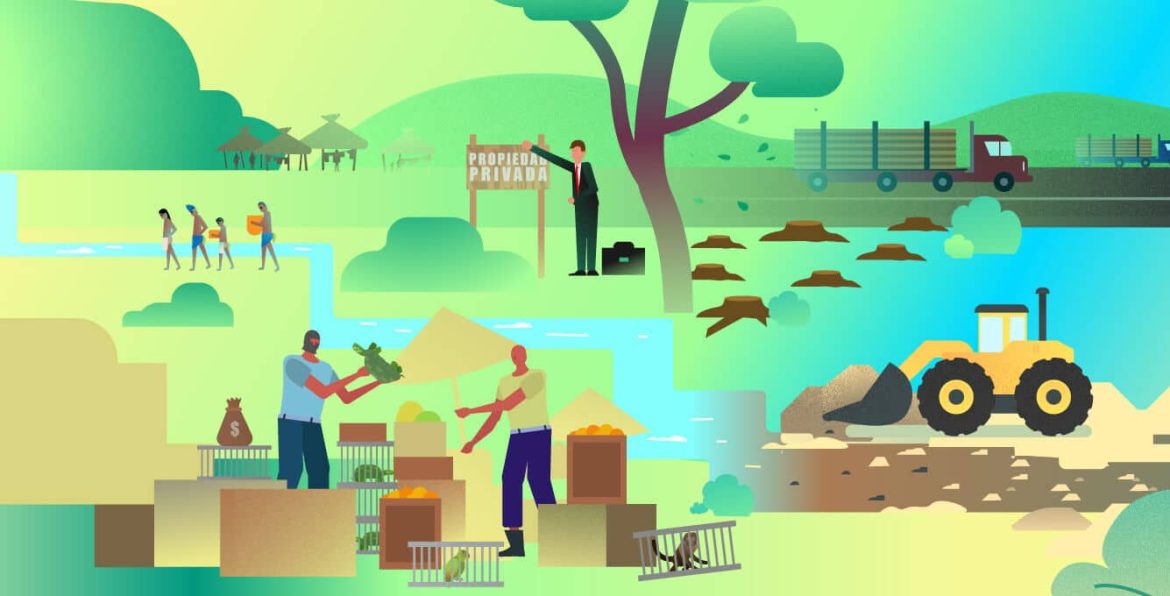 Cracking Down on Eco-Crimes: Costa Rica’s Bold Legal Battle Against Organized Environmental Criminals