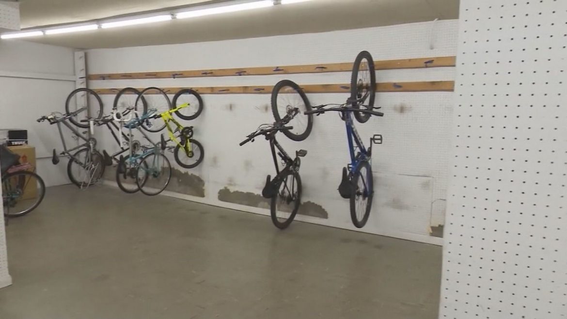 Why Is There a Global Bike Shortage?