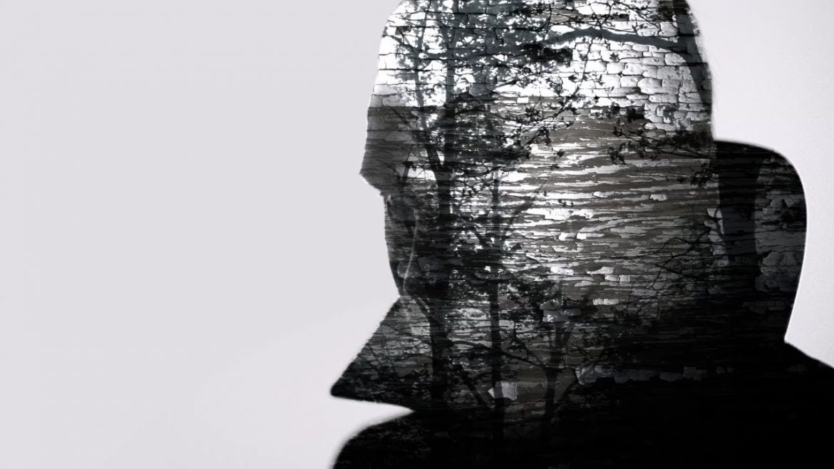 Perceiving Color In a Gray World